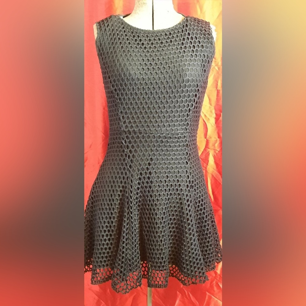 Elizabeth and James Black Fishnet Stretch Fit & Flare Sleeveless Dress